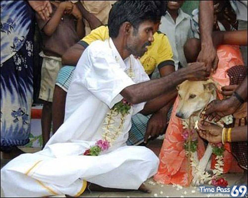 Anything Can Happen In India