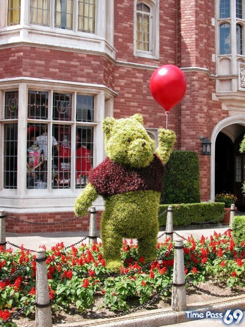 Collection Of Creative Gardens
