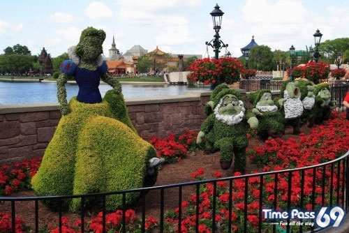 Collection Of Creative Gardens