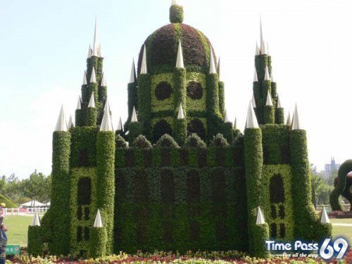 Collection Of Creative Gardens