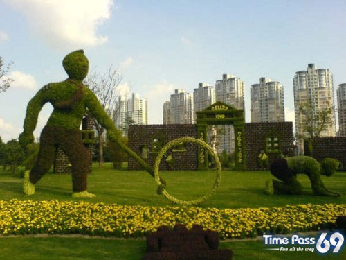 Collection Of Creative Gardens
