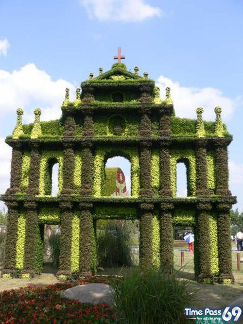 Collection Of Creative Gardens