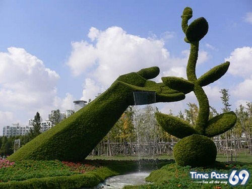 Collection Of Creative Gardens