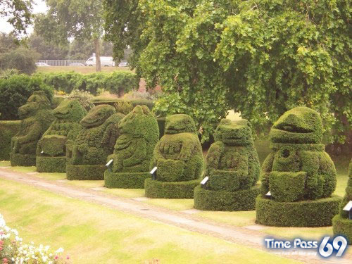 Collection Of Creative Gardens