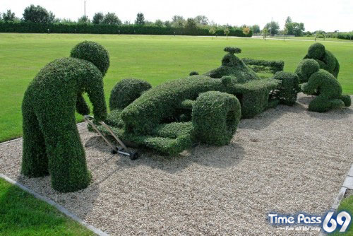 Collection Of Creative Gardens