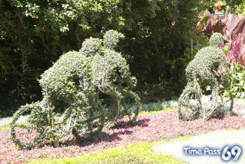 Collection Of Creative Gardens