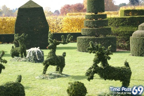Collection Of Creative Gardens