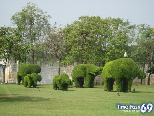 Collection Of Creative Gardens