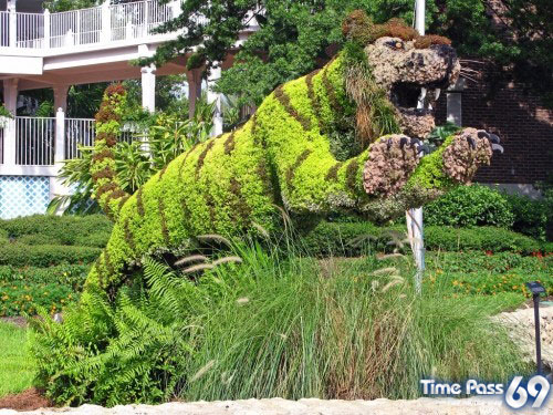 Collection Of Creative Gardens
