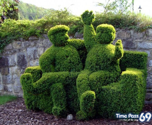 Collection Of Creative Gardens