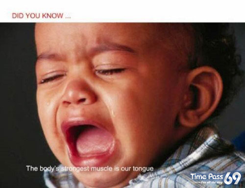 Did You Know