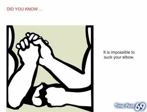 Did You Know