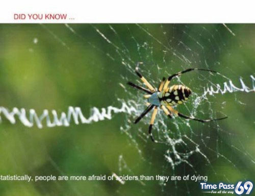 Did You Know