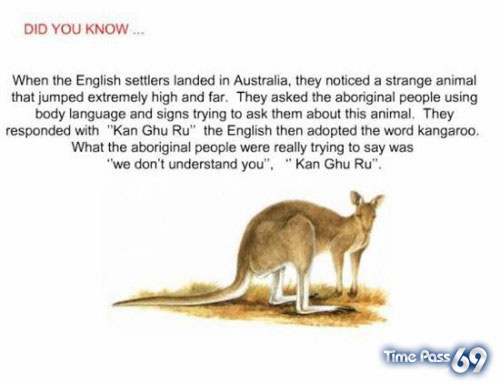 Did You Know