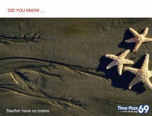 Did You Know