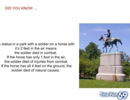 Did You Know