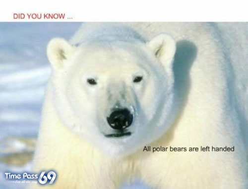Did You Know