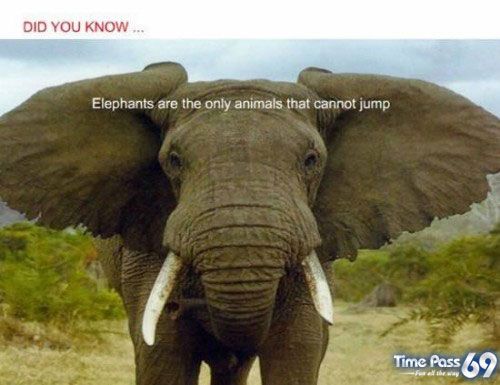 Did You Know