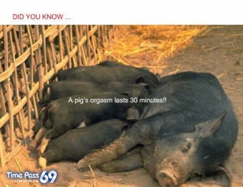 Did You Know