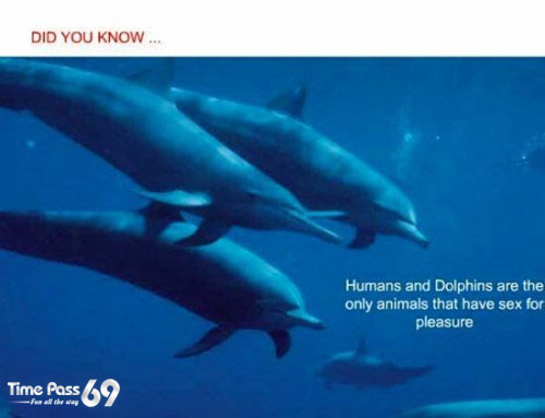 Did You Know