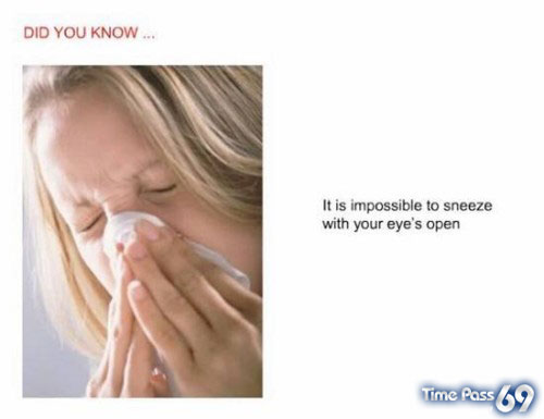 Did You Know