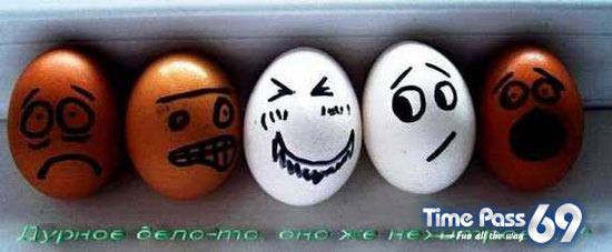 Funny Eggs - Funny Eggs Pictures, Funny Eggs Sayings, Funny Eggs Jokes
