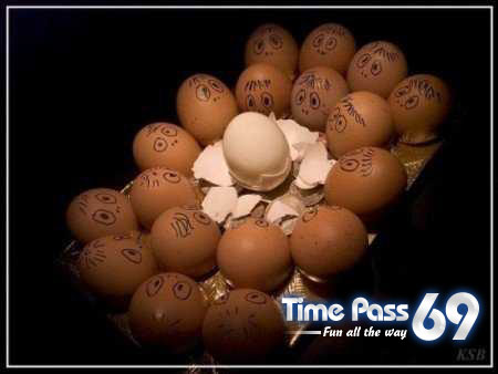 Funny Eggs - Funny Eggs Pictures, Funny Eggs Sayings, Funny Eggs Jokes