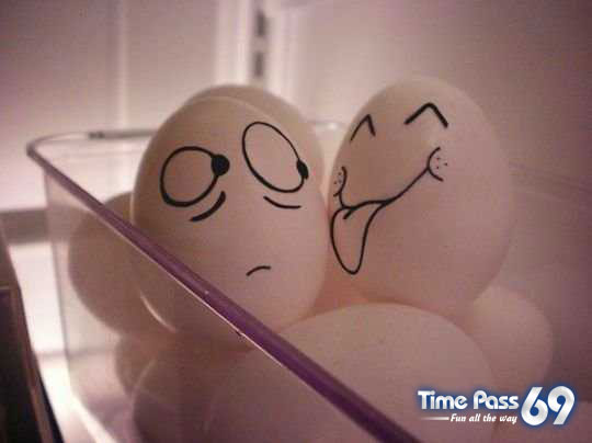 Funny Eggs - Funny Eggs Pictures, Funny Eggs Sayings, Funny Eggs Jokes