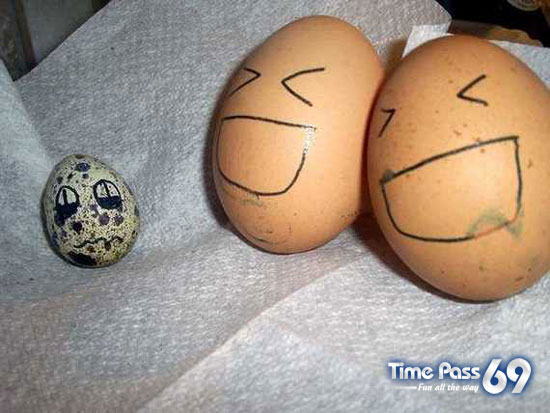 Funny Eggs - Funny Eggs Pictures, Funny Eggs Sayings, Funny Eggs Jokes