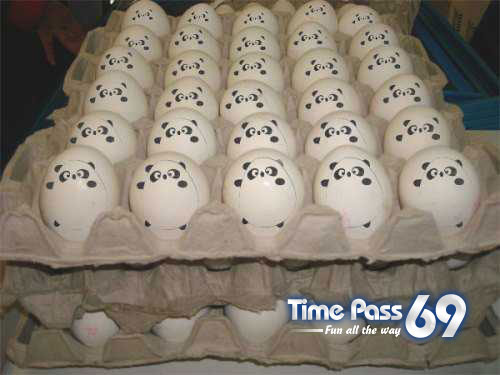 Funny Eggs - Funny Eggs Pictures, Funny Eggs Sayings, Funny Eggs Jokes