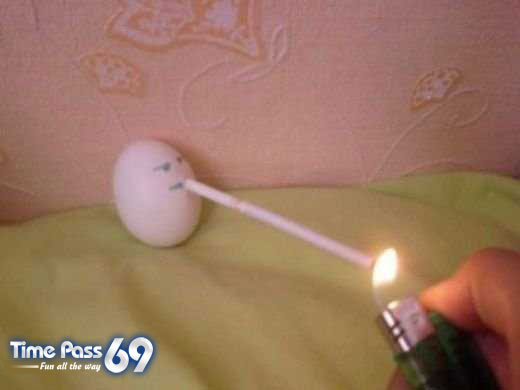 Funny Eggs - Funny Eggs Pictures, Funny Eggs Sayings, Funny Eggs Jokes