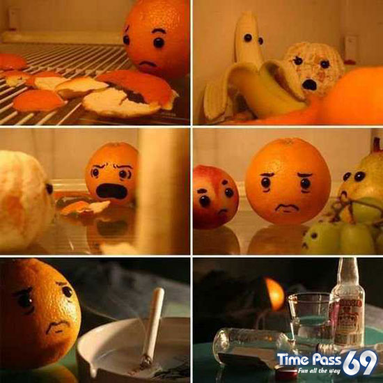 Funny Eggs - Funny Eggs Pictures, Funny Eggs Sayings, Funny Eggs Jokes