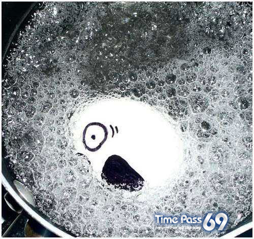 Funny Eggs - Funny Eggs Pictures, Funny Eggs Sayings, Funny Eggs Jokes