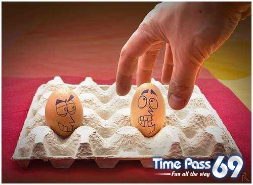 Funny Eggs - Funny Eggs Pictures, Funny Eggs Sayings, Funny Eggs Jokes