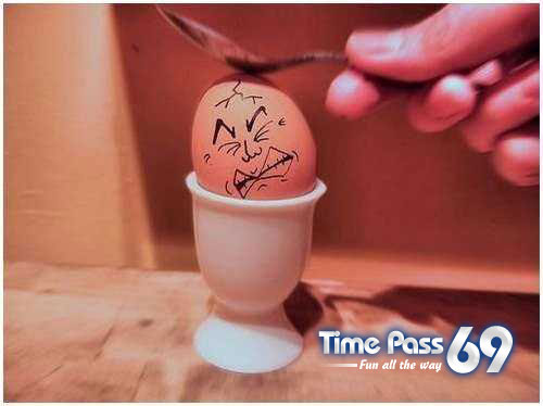 Funny Eggs - Funny Eggs Pictures, Funny Eggs Sayings, Funny Eggs Jokes