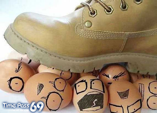 Funny Eggs - Funny Eggs Pictures, Funny Eggs Sayings, Funny Eggs Jokes