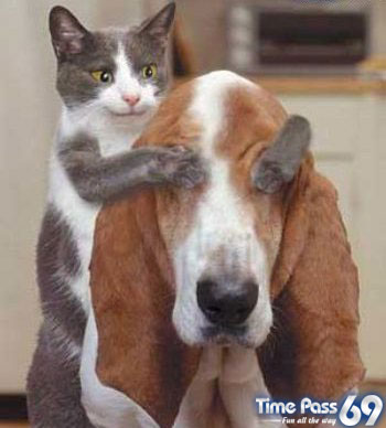 Funny Images