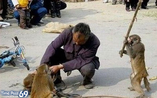Funny-Images