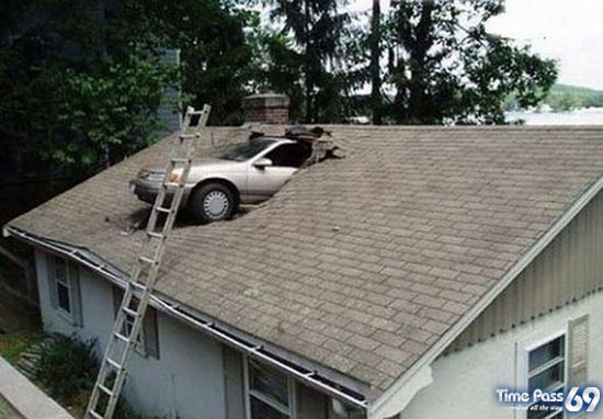 Funny-Images