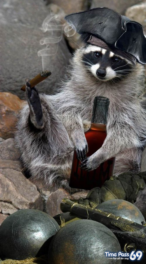 Funny Animals - Funny Animals Images, Funny Animal Facts