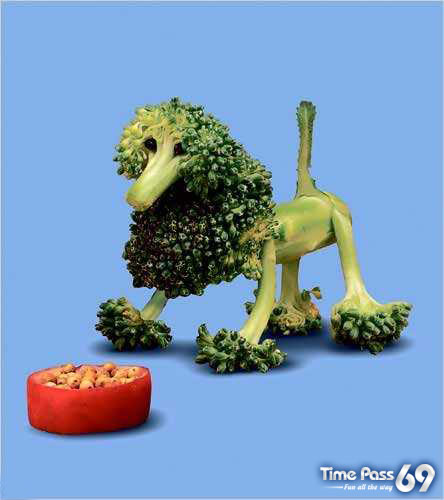 Funny Food Art