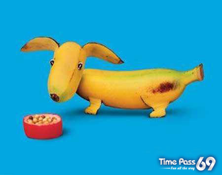 Funny Food Art