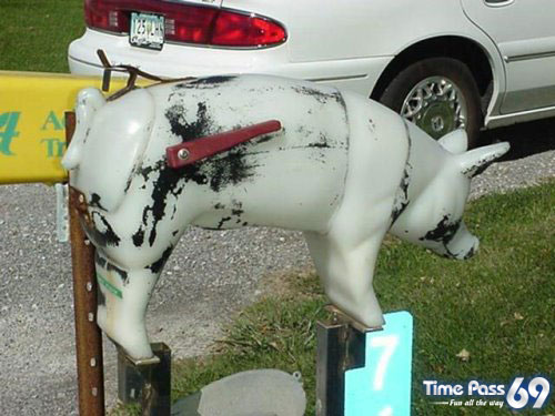 Funny Mail Boxes