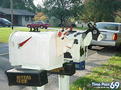 Funny Mail Boxes
