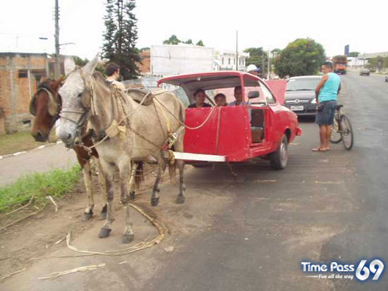 Horse Car