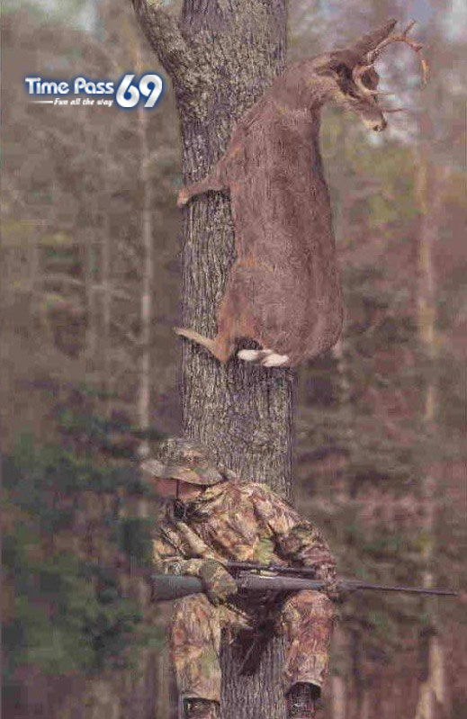 Ideals Live Life Like This