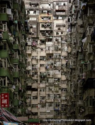 Chinas Apartment How to find Some One Else
