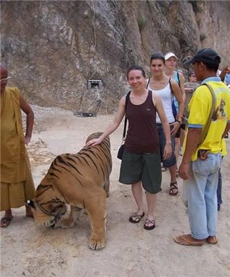 Friendly Tiger - Cute Friendship