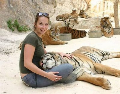 Friendly Tiger - Cute Friendship