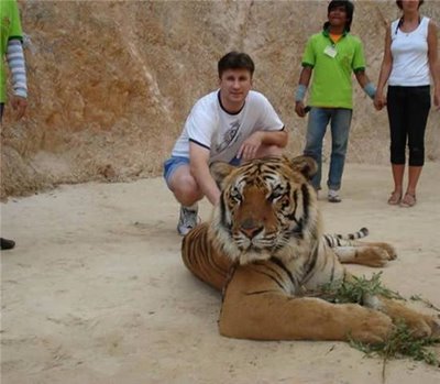 Friendly Tiger - Cute Friendship